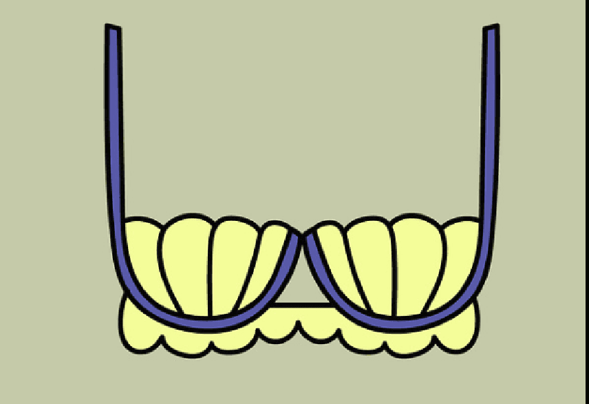 ZeKy Bra